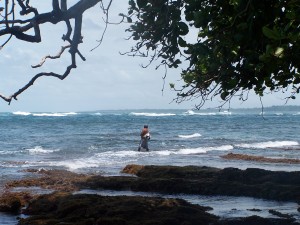 Gandoca Wildlife Reserve Costa Rica
