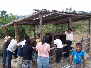 Service-learning