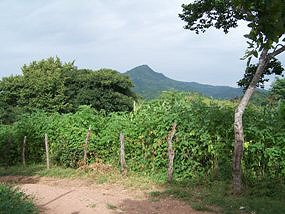 Rural Nicaragua