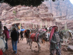 Camel Ride into Petra, Jordan