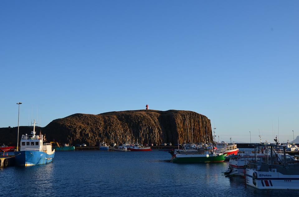 Over 35% of meat coming from minke whale slaughtering by Icelandic whalers is consumed by tourists. The Whale and Dolphin Conservation encourages tourists to go on local whale watching trips and to avoid restaurants that serve whale to curb the funding of the Icelandic whaling industry.
