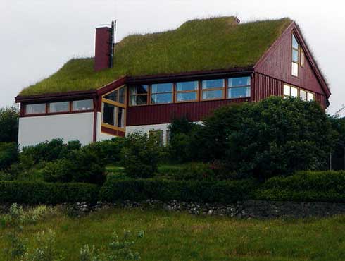 green-roofs