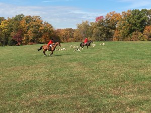 Fox Hunt at Mount Vernon