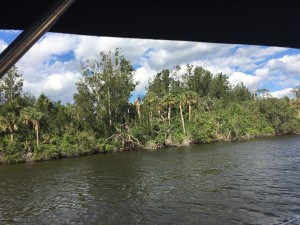 Canaveral Barge Canal