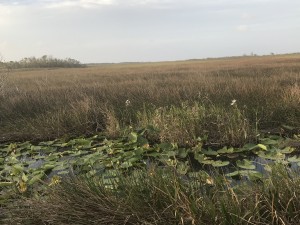 Everglades National Park