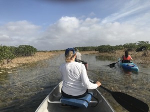 Sue paddling in Everglades