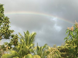 Rainbow in Miami