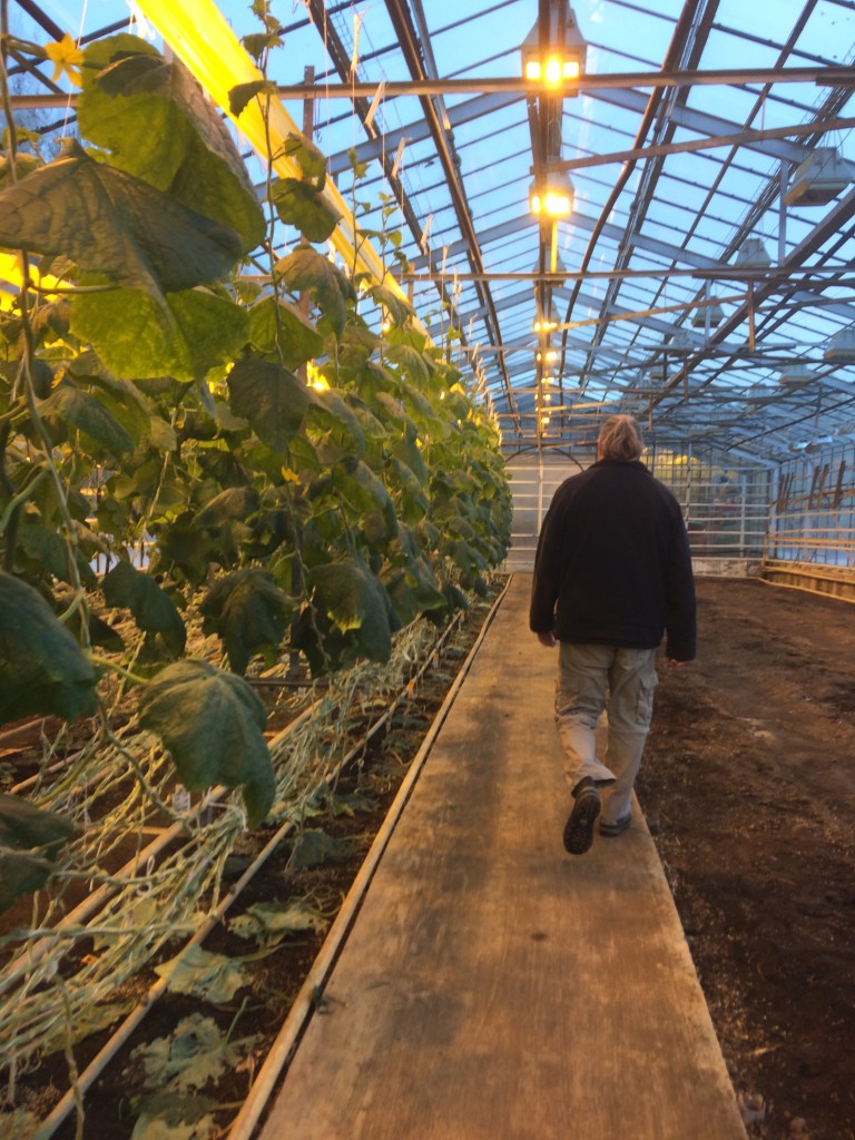 Arkur Farm Greenhouse