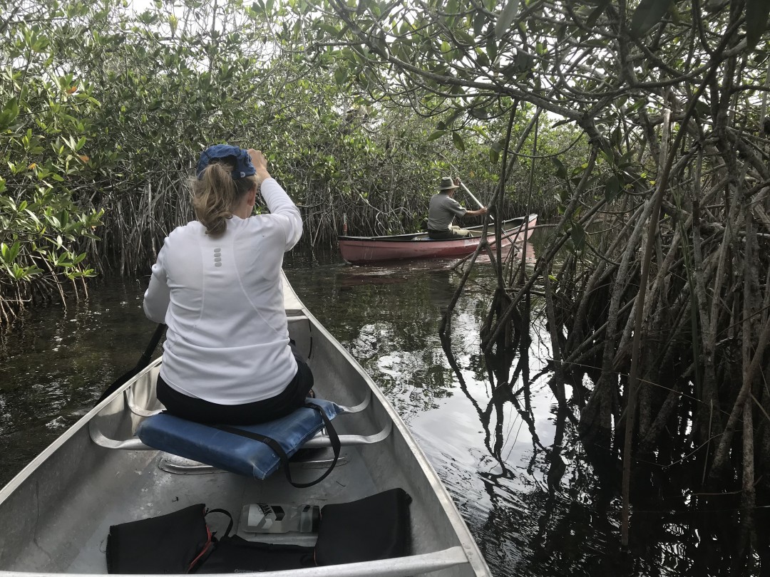 Mangrove Paddling Center for Ecological Living and Learning